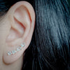 Gems Climber Earrings Sterling Silver Earring Garden of Desire 