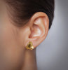 Nest Silver Earrings in Gold Sterling Silver Earring Garden of Desire 